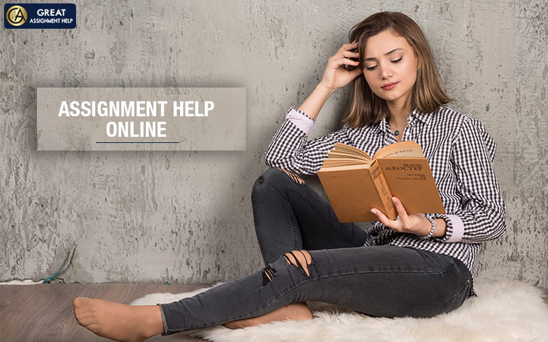 Assignment Help