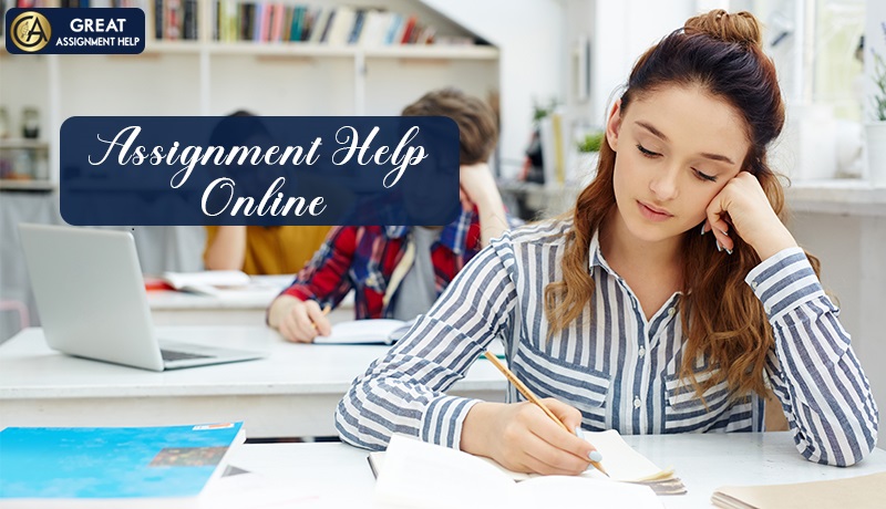 Assignment Help