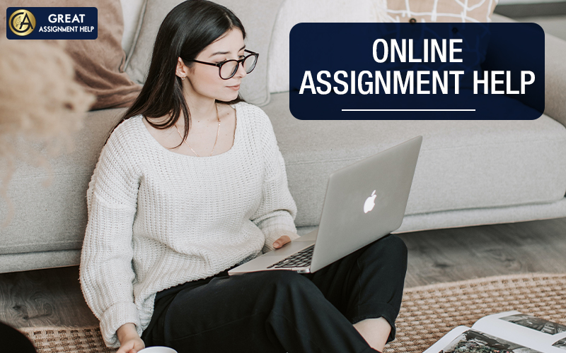 Assignment Help